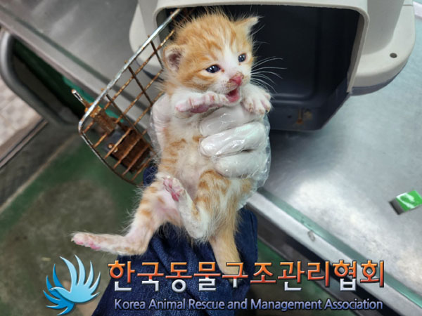 한국동물구조관리협회_411305202300187